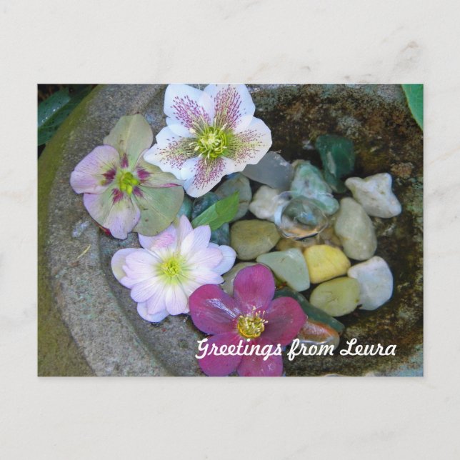 Postal Clematis Postcard (Anverso)