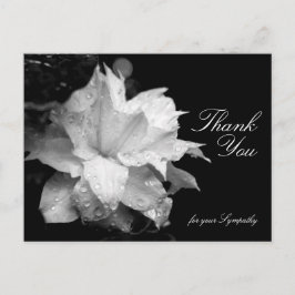 Postal Clematis y Dewdrop Solidaridad