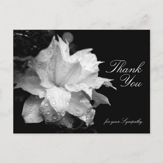 Postal Clematis y Dewdrop Solidaridad (Anverso)