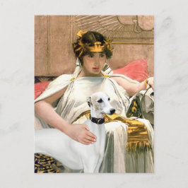 Postal Cleopatra y el Whippet blanco