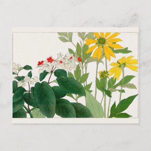 Postal Clerodendrum thomsoniae, Rudbeckia, Tanigami Konan