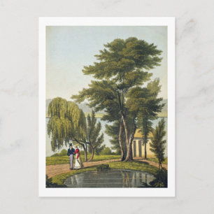 Postal Clifton, de 'The Naturama, or, the Nature's Endles