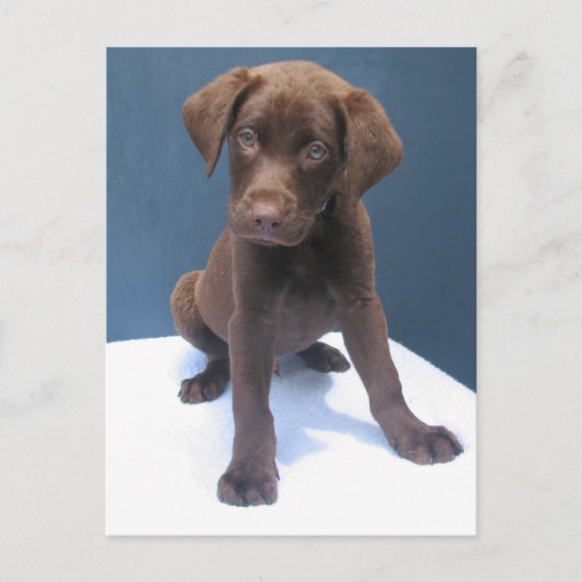 Postal Clint (Anverso)