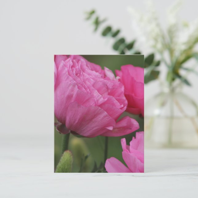 Postal Closeup Deep Peony Pink Ranunculus (Anverso de pie)