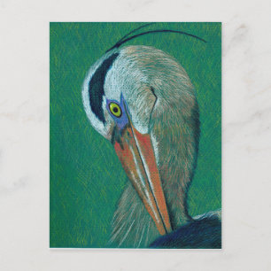 Postal Closeup Heron