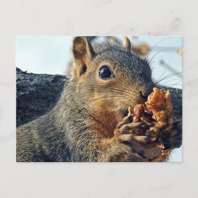 Postal Closeup Yummy (Anverso)