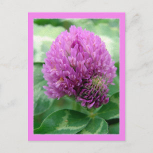 Postal Clover Art
