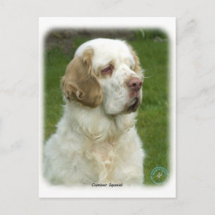 Postal Clumber Spaniel 9Y003D-101