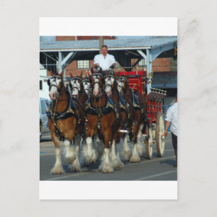 Postal Clydesdale 6 hockey
