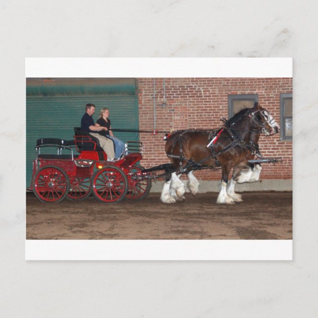 Postal Clydesdales cart (Anverso)