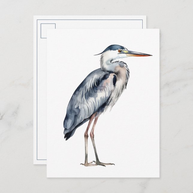 Postal Coastal Blue Heron Bird (Anverso / Reverso)