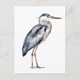 Postal Coastal Blue Heron Bird