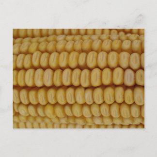 Postal Cob de maíz cerrar