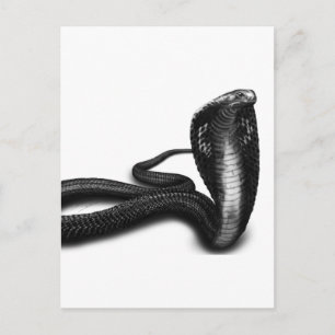 Postal Cobra