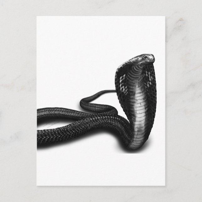 Postal Cobra (Anverso)