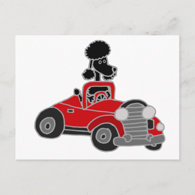 Postal Coche convertible rojo negro que conduce al perro  (Anverso)