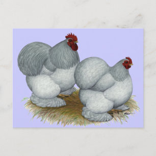 Postal Cochin:  Autoazul