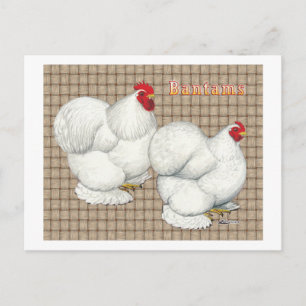 Postal Cochin:  Bantams blancos