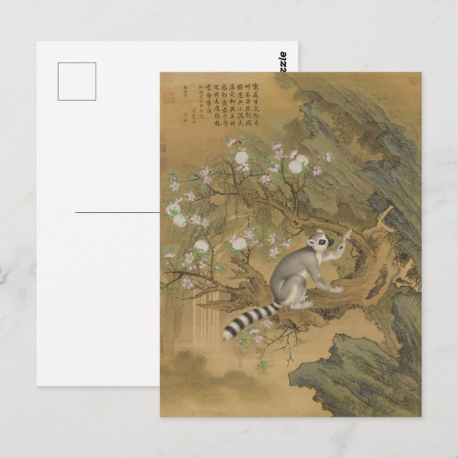 Postal Cochin Lemur Bella Artes (Anverso / Reverso)
