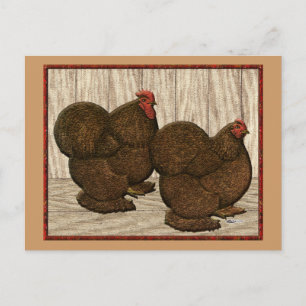 Postal Cochins: Bantams rojos texturados