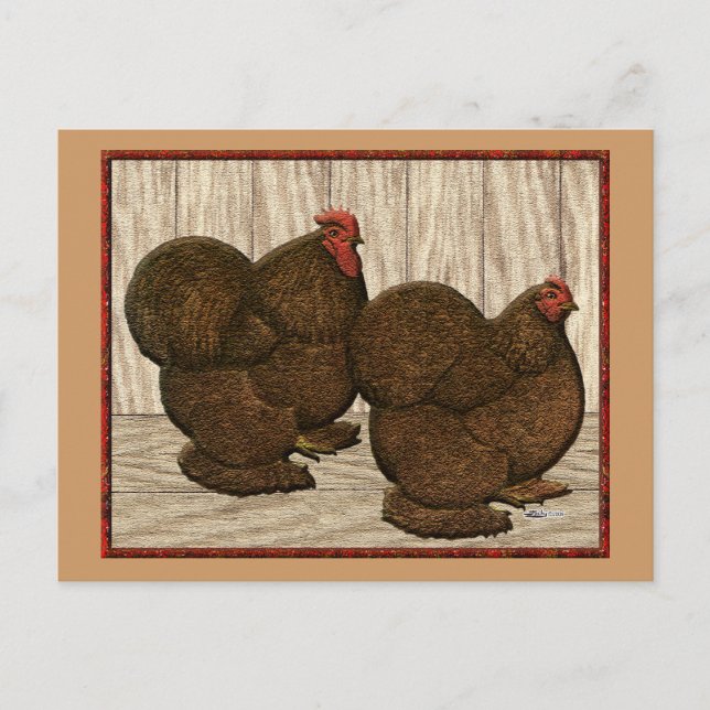 Postal Cochins: Bantams rojos texturados (Anverso)