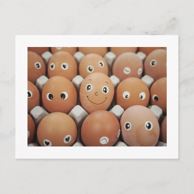 Postal Cocina Divertida Humor de Comida (Anverso)