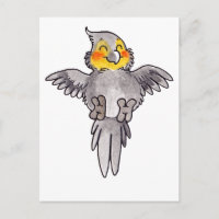 Cockatiel