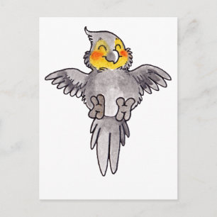 Postal Cockatiel