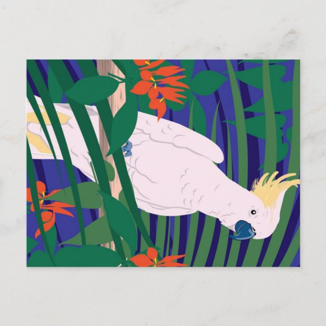 Postal Cockatoo (Anverso)