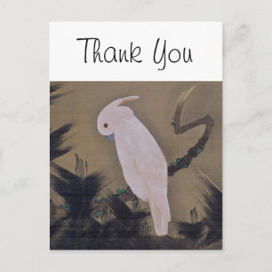 Postal Cockatoo blanco en la rama de Pino Bella Artes Jak