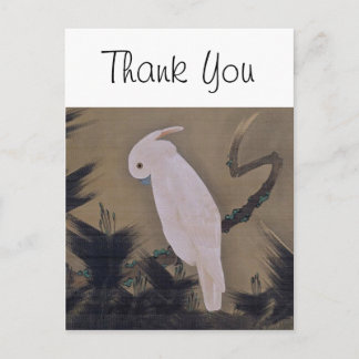 Postal Cockatoo blanco en la rama de Pino Bella Artes Jak