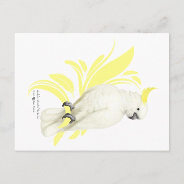 Postal Cockatoo con crema de azufre (Anverso)