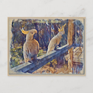 Postal Cockatoo curado con azufre australiano