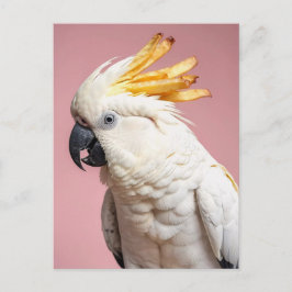 Postal Cockatoo divertido con Escudo de Fries franceses