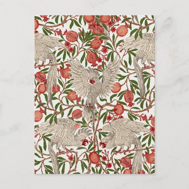 Postal Cockatoo & Pomegranate by Walter Crane Art Nouveau (Anverso)