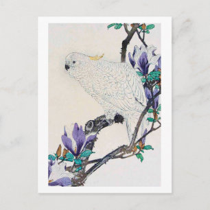 Postal Cockatoo y Lily Magnolia, Imao Keinen