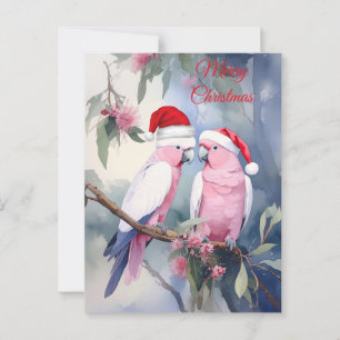Postal Cockatoos rosados Santa Hat Feliz Navidad