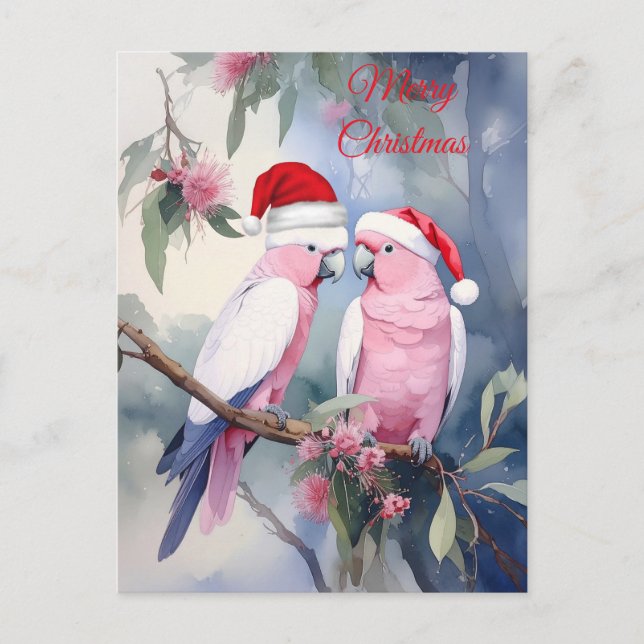 Postal Cockatoos rosados Santa Hat Feliz Navidad (Anverso)