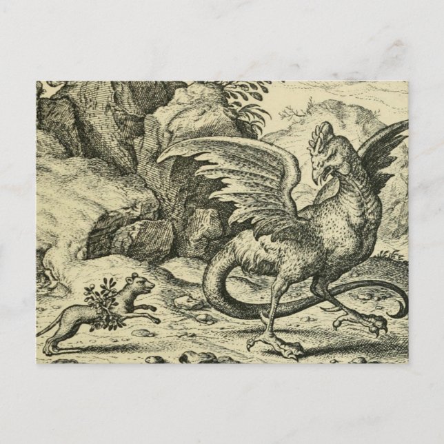 Postal "Cockatrice vs. Weasel" (Anverso)