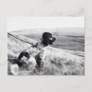 Postal Cocker Spaniel