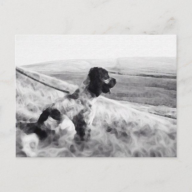 Postal Cocker Spaniel (Anverso)