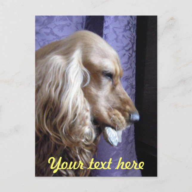 Postal Cocker Spaniel (Anverso)