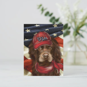 Postal Cocker Spaniel Americano