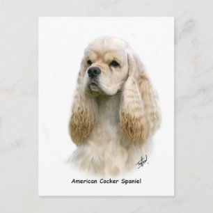 Postal Cocker Spaniel americano 9Y244D-035