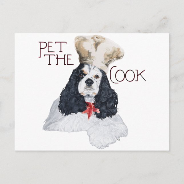 Postal Cocker Spaniel Americano Chef (Anverso)