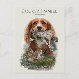 Postal Cocker Spaniel con perdiz gris