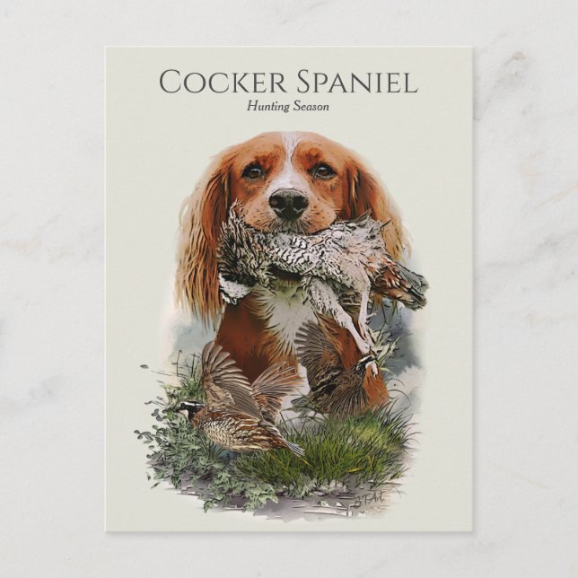 Postal Cocker Spaniel con perdiz gris (Anverso)