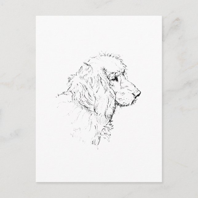 Postal Cocker Spaniel – Dibujo de línea de perro minimali (Anverso)
