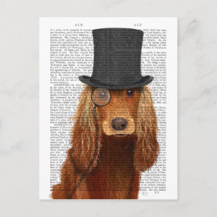 Postal Cocker Spaniel, Hound formal y Gorra