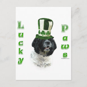 Postal Cocker Spaniel Lucky Paws